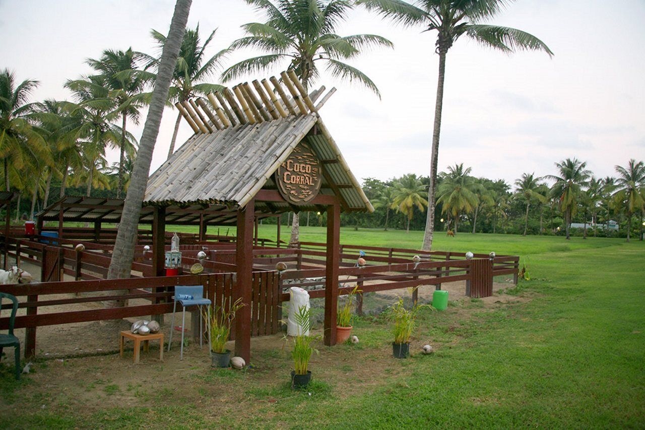 Coconut Bay Beach Resort & Spa All Inclusive Vieux Fort Exterior photo